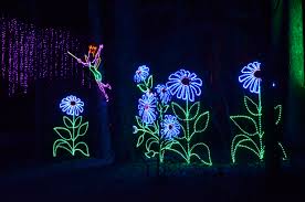 Christmas Lights At Callaway Gardens I Still Remember The Beautiful Lights I Saw As A Kid Callaway Gardens Christmas Garden Christmas Lights