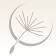 Astera Institute logo