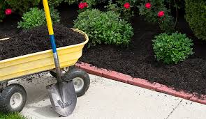 While these are all well and good, not everyone is a fan for practical reasons. How To Mulch Learn The Best Types Of Mulch And How To Apply It