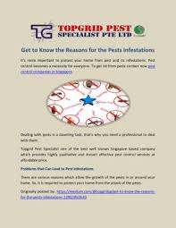 I have found them to be effective and cost conscious and have had no complaints from any of the guests. Ppt Know The Best Pest Control Company In Singapore Powerpoint Presentation Id 7995546