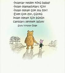Aylin Ayyildiz Tarafindan Candostlarimiz Goruntusu Hayvan Sevimli Hayvan Yavrulari Hayvanlar