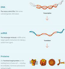 Cvac | complete curevac n.v. Curevac Overvalued But Can Pop Again Nasdaq Cvac Seeking Alpha