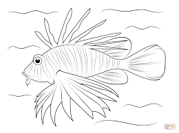 Image Result For Lionfish Coloring Page Lion Fish Cartoon Coloring Pages Sea Animals Drawings