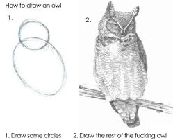 Original How To Draw An Owl Owls Drawing Art Jokes Drawings