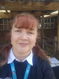 Has anyone else got any ideas what to do with their unused brown/green bin? 