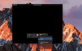 Screen Recorder With Facecam For Ios Record Face And Screen On Iphone Ipad Screen Recorder Records Screen