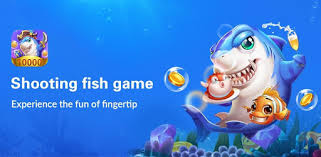 Spin our wheel for a free real money cash bonus on your first deposit. Online Fish Tables Game And The Important Things You Should Know
