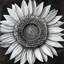 Click the pick tool on the left toolbar. How To Draw A Sunflower Realistic Sunflower Step By Step Drawing Guide By Finalprodigy Dragoart Com