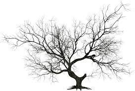 Check spelling or type a new query. Wicked Halloween Tree Clipart