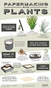 Hand Papermaking With Plants Illustrated Infographic Handmade Paper Diy Paper How To Make Paper