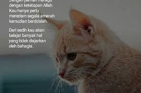  Laa Tahzan Berbahagialah Meski Harus Diatas Sedihmu Percayalah Bahwa Semua Telah Ditetapkan Nya Pun Yakinlah Ketetapan Ny All About Islam Islam Animals