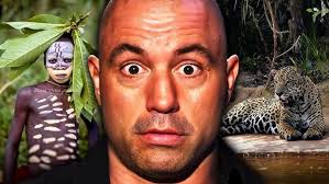 Joe Rogan Experience #1321