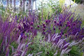 Pin On Garden Faves