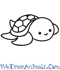 How To Draw A Cute Turtle