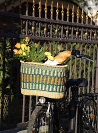 Fahrradkorb Amsterdam Steppengras Fahrradkorb Fahrrad Korb