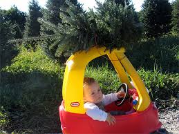 We are just five minutes from downtown boone. Greene Tree Farm Boone Nc Choose And Cut Christmas Tree Farms