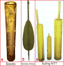 Pada awalnya alat musik sasando menggunakan tangga nada. 10 Alat Musik Tradisional Nusa Tenggara Timur Lengkap Gambar Dan Penjelasannya Seni Budayaku