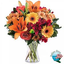 Questa famiglia di fiori è costituita da piante erbacee perenni, alcune delle quali sono in grado di assorbire dall'acqua presente nell'ambiente le. Mazzo Di Fiori Bellissimo