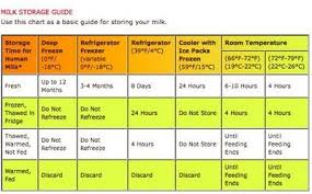 I Pumped Now What Three Tips For Breastfeeding Sahms