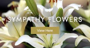 We did not find results for: Fleur Boutique Florists Flowers Preston 01772747001