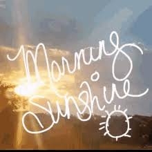 Meme, memes, nice meme, thumbs up. Sunshine Gifs Tenor