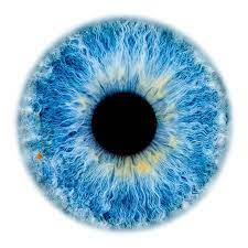Window To The Soul 110 Blue Background Images Background Images Wallpapers Blur Photo Background