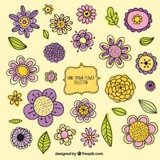 See flower line drawing stock video clips. Free Vector Variety Of Vintage Hand Drawn Flowers Set