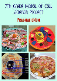 Biology Science Fair Projects For 7th Grade 7th Grade Model Of Cell Science Project Science Projects Science Activities For Kids Cell Model Project