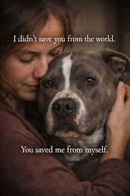 I know someone out there needs this sweet baby to teach her love and how to  be an indoor kitty. She is so scared but with time and attention she will  come