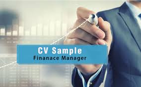 Financial managers work in many industries, including banks and insurance companies. Resume Cv Sample For Finance Manager Jobsdb Hong Kong