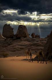 Au Cœur Du Sahara Wilaya De Tamanrasset Algerie في قلب الصحراء ولاية تمنراست In The Heart Of The S Deserts Of The World Nature Photography Beautiful Nature