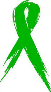 We did not find results for: Green Ribbon Cerebral Palsy Awareness Cancer Ribbon Tattoos Cancer Tattoos Kidney Disease Awareness