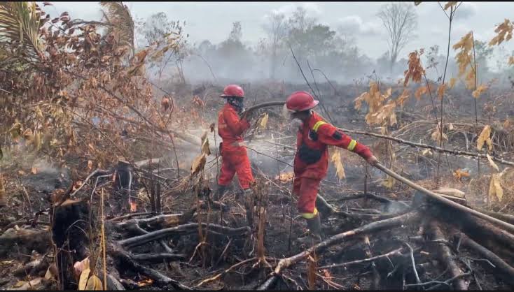 Pemerintah Perluas Operasi Karhutla hingga ke Luar Provinsi Prioritas