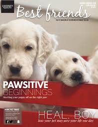 That's why good pet care is at the foundation of everything we do. Best Friends Pet Magazine Ontario Veterinary College Spring Summer 2018 By Ovc Pet Trust Issuu