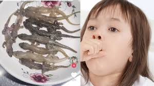 Cơn sốt mạng xã hội thịt thằn lằn thạch sùng chữa hen suyễn, chuyên gia lên  tiếng