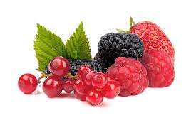 Image result for foto minikiwi