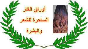 فوائد واستخدامات ورق الغار الجزء الثالث فوائد تجميلية Beauty Benef Healthy Recipes Remedies Food