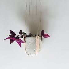 Halterung Fur Blumentopfe Aus Pflanzlich Gegerbtem Rindslederfur Topfpflanzen Die Beiden Uberkreuzte Lederstreifen Mit Hohenverste Diy Leer Potplanten Planten