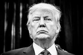 Uncle Guido's Facts: February 2020