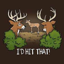 Would You Deer Hunting Quotes Hunting Humor Whitetail Deer Hunting