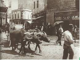 Eminonu 1900 Istanbul Tarihi Evler Tarih