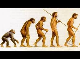 De ce exista doar maimute si se trece direct la om evoluat cu limbaj etc etc. Timpul Pentru Cunoastere Evolutia Omului Verticalizare Curiozitati Youtube