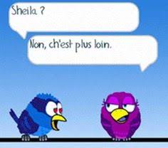 Pour le trouver, chercher les mots malade slam bleus humour. 32 Idees De Les Oiseaux Bleu Humour Oiseaux Humour Blague