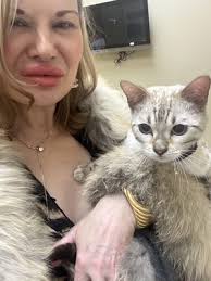 TESSON FERRY VETERINARY HOSPITAL