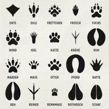 July 02, 2021 post a comment older posts powered by blogger menu halaman statis. 100 Tierspuren Ideen Tierspuren Tiere Naturkunde