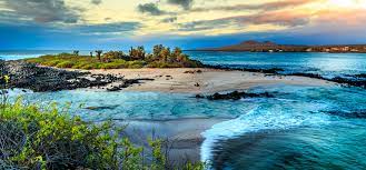 The galapagos islands are a small archipelago of islands belonging to ecuador in the eastern pacific ocean. Your Guide To A Wild Galapagos Islands Vacation Goway