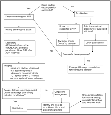 Acute Urinary Retention In Elderly Men The American Journal Of Medicine