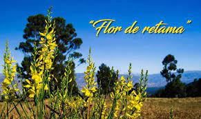 Flor De Retama Conoce La Version Original Del Maestro Ricardo Dolorier Perufolkradio