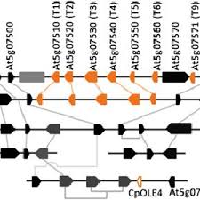 Ming-Der Huang's research works