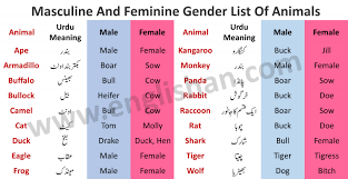 100 Examples Of Masculine And Feminine Gender List Englishan In 2021 List Of Animals Gender Gender Of Animals